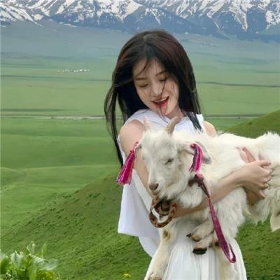 等待飞鱼